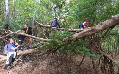 EGER A LÁBUNK ELŐTT HEVER AVAGY EGER FÖLÖTT 372 MÉTERREL